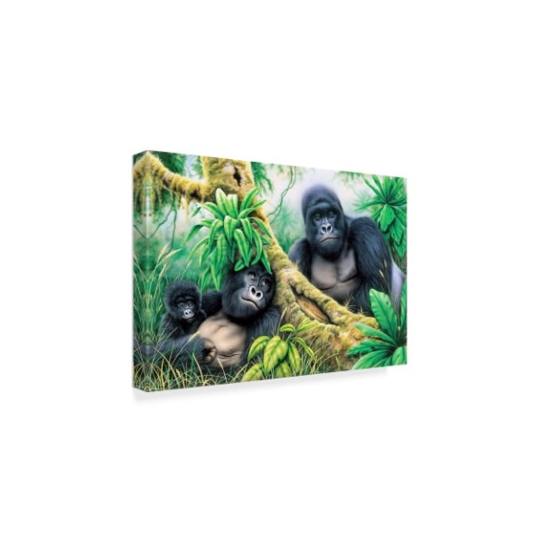 Howard Robinson 'Two Gorillas' Canvas Art,16x24